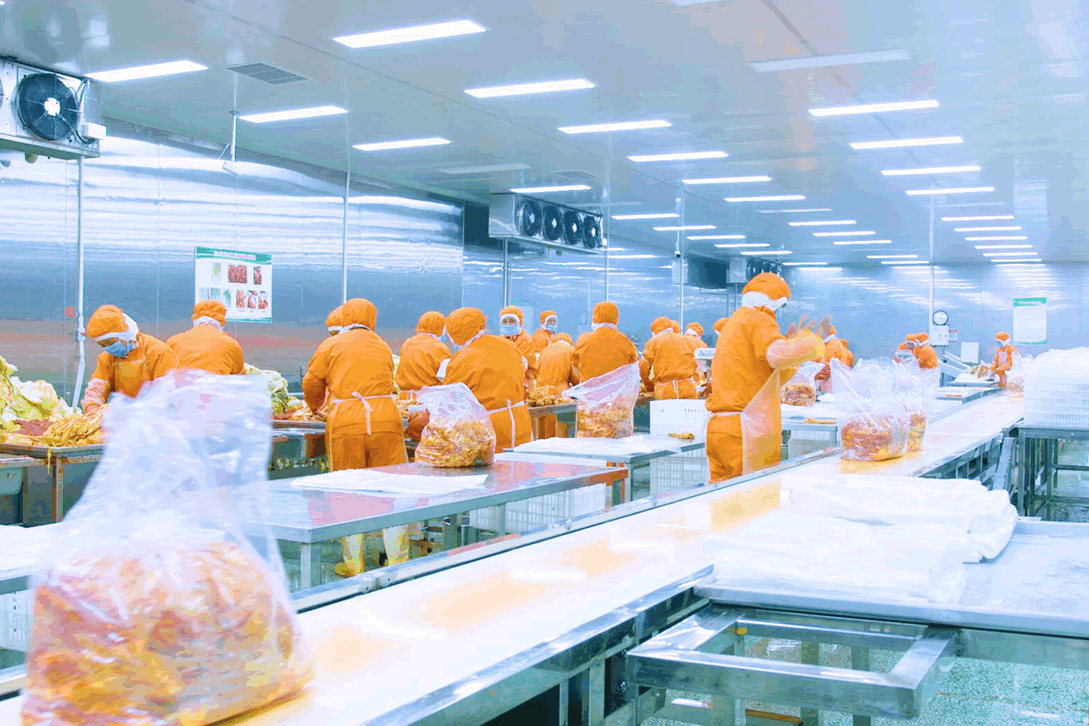 Food & Beverage Processing